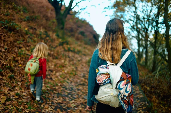 Genç Bir Anne Bir Sonbahar Günü Anaokulu Çocuğuyla Ormanda Yürüyor Stok Resim
