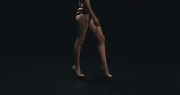 Sexy Woman Black Lingerie Dancing Dark Pole Dancing Concept — Stock Video