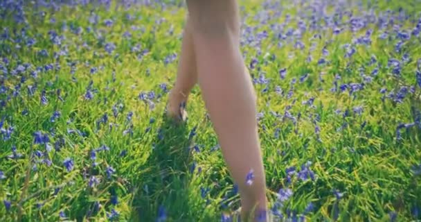 Γυναικεία Πόδια Περπάτημα Στο Πράσινο Πεδίο Μικροσκοπικά Λουλούδια — Αρχείο Βίντεο