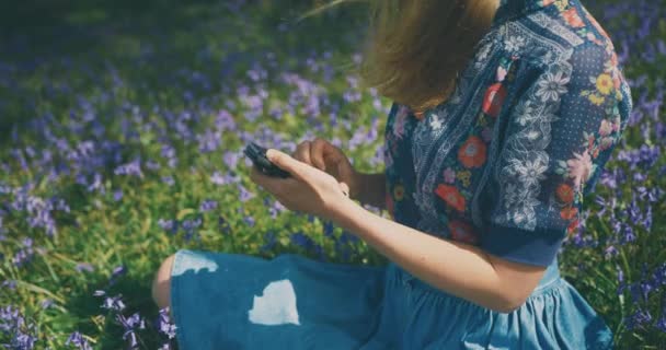 Young Woman Using Smartphone Field Flowers — Stock Video