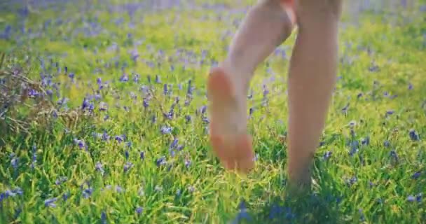 Samice Spacerujące Zielonym Polu Malutkimi Kwiatkami — Wideo stockowe