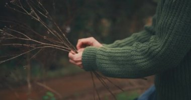 Ormanda çiçek toplayan bir kadın.