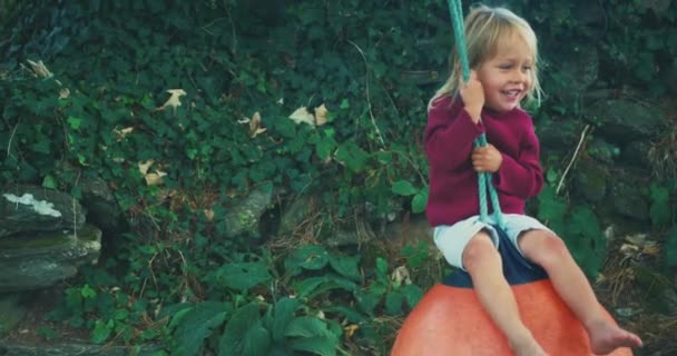 Little Boy Playing Yard — Stock Video