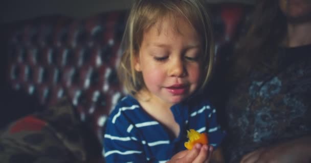 小男孩在家里吃水果 — 图库视频影像