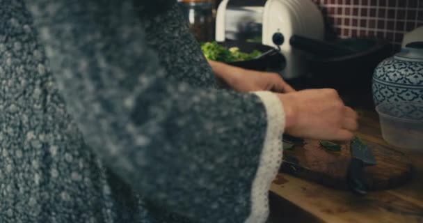 Mulher Cozinhar Salada Legumes Cozinha — Vídeo de Stock