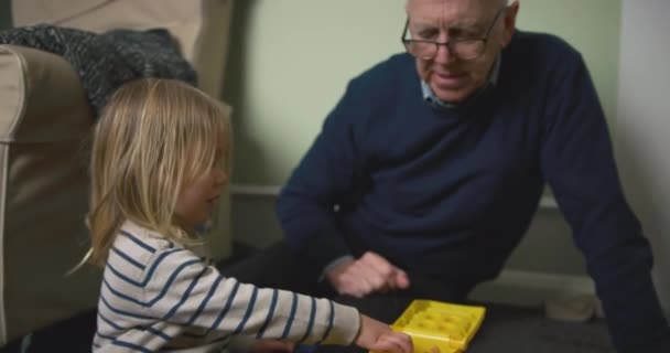 Petit Garçon Son Grand Père Jouer Avec Constructeur Maison — Video