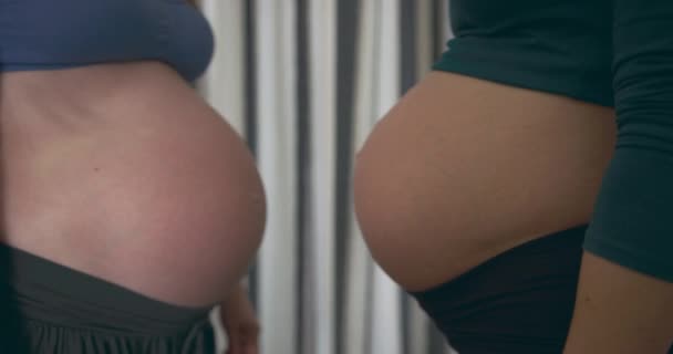 Έγκυες Γυναίκες Κοιλιές Στο Σπίτι — Αρχείο Βίντεο