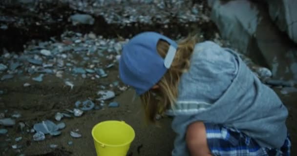 Petit Garçon Jouant Sur Côte Mer — Video