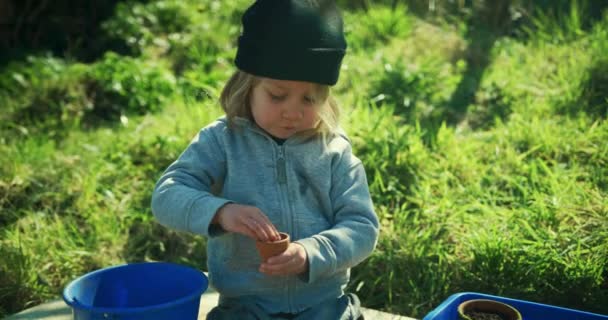 Χαριτωμένο Μικρό Αγόρι Φύτευση Σπόρων Γλάστρες — Αρχείο Βίντεο