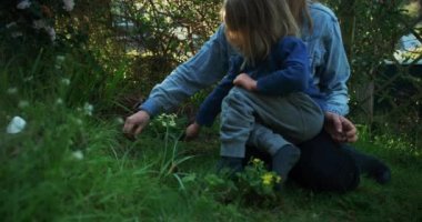 Küçük çocuk bahçeye annemle birlikte sarı çiçekler dikiyor.