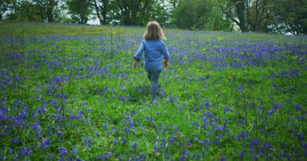 Niño Pequeño Caminando Por Campo Con Campanas Azules — Vídeos de Stock