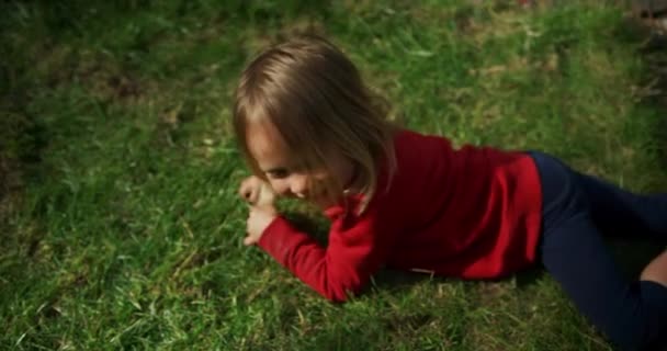 可爱的男孩在草地上 天然的背景 — 图库视频影像