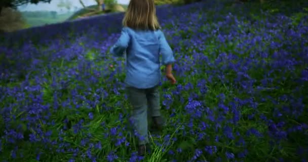 Niño Pequeño Caminando Por Campo Con Campanas Azules — Vídeos de Stock