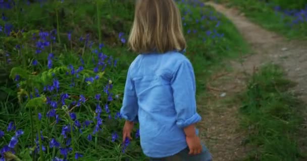 Маленький Хлопчик Ходить Полі Блакитними Дзвонами — стокове відео