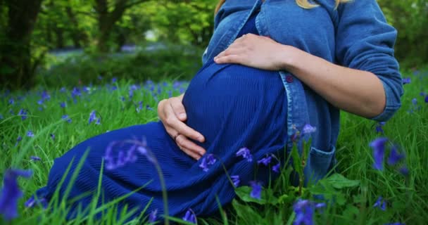 Junge Schwangere Frau Sitzt Auf Der Grünen Wiese Mit Lila — Stockvideo