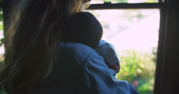 母亲的近身 新生儿从窗户往外看 — 图库视频影像