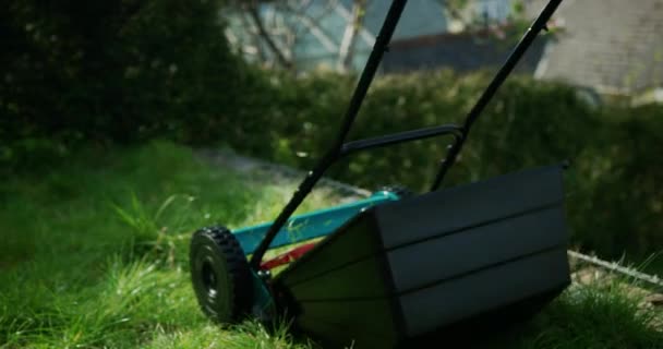 有绿色割草机的孕妇在草坪上干活 — 图库视频影像