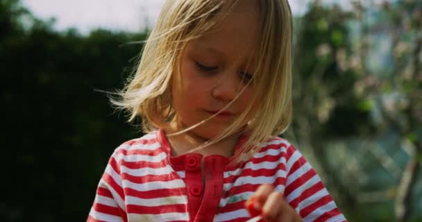 Liten Pojke Med Såpbubblor Leker Utanför — Stockvideo