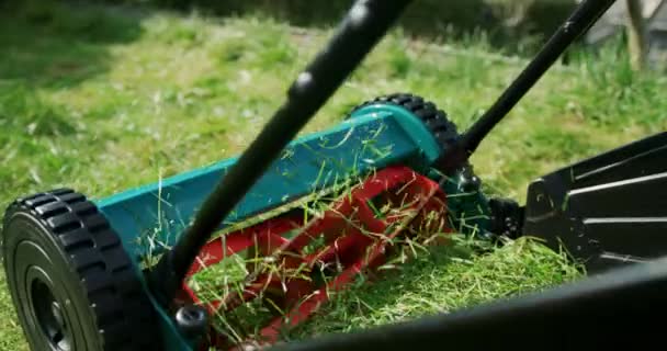 Yeşil Çim Biçme Makinesi Çimlerde Çalışıyor — Stok video