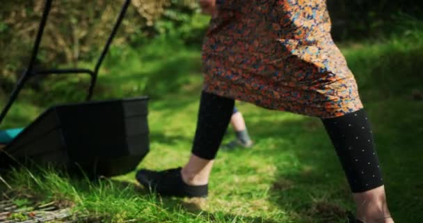 Ciężarna Kobieta Zieloną Kosiarką Pracującą Trawie — Wideo stockowe