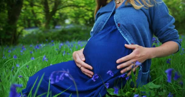 Νεαρή Έγκυος Γυναίκα Κάθεται Στο Πράσινο Έδαφος Τομέα Μοβ Λουλούδια — Αρχείο Βίντεο