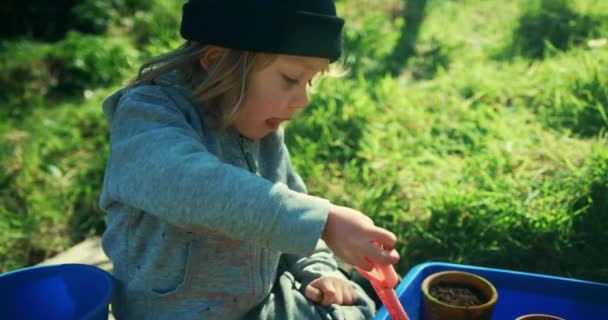 Söt Liten Pojke Plantera Frön Krukor — Stockvideo