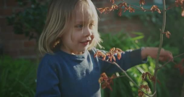 Young Little Boy Garden Autumn Season — Stock Video