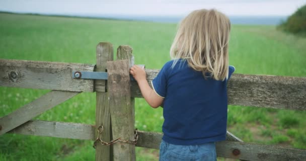 Niño Cerca Cerca Madera — Vídeo de stock