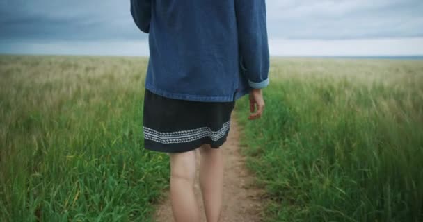 Young Woman Walking Green Field — Wideo stockowe