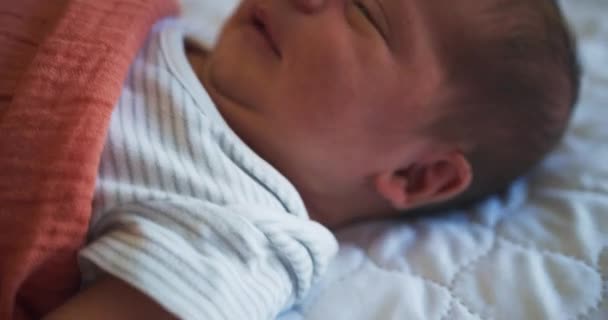 Закрыть Новорожденного Лежащего Одеяле — стоковое видео