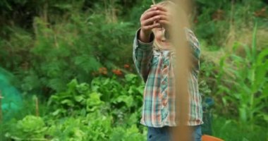 Bahçesinde taze çiğ havuç olan genç bir çocuk.