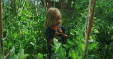 Seradaki küçük şirin çocuk.