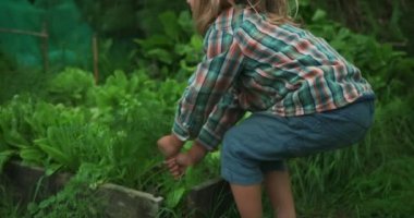 Bahçesinde taze çiğ havuç olan genç bir çocuk.