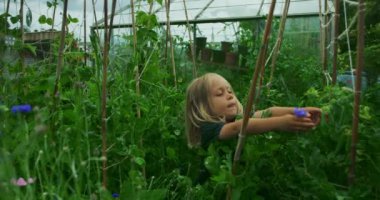 Seradaki küçük şirin çocuk.