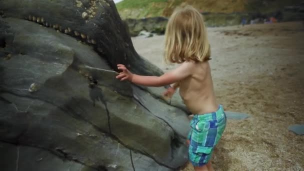 Kleine Jongen Die Aan Zeekust Speelt — Stockvideo