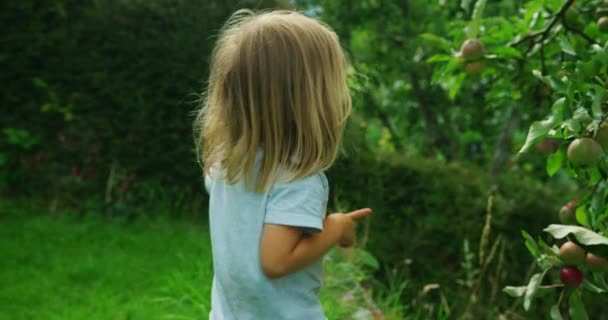 Menino Brincando Jardim Verde — Vídeo de Stock