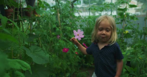 Hermosa Niña Campo Plantas Verdes Bosque Con Flores — Vídeos de Stock