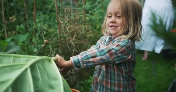 Menino Brincando Jardim Verde — Vídeo de Stock