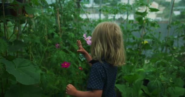 Belle Petite Fille Dans Champ Plantes Vertes Dans Une Forêt — Video