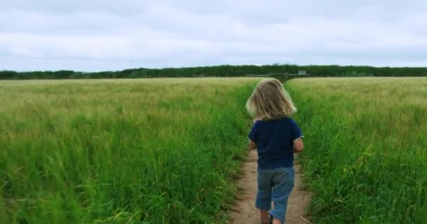 Niño Corriendo Camino Campo — Vídeos de Stock