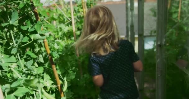 Belle Petite Fille Dans Champ Plantes Vertes Dans Une Forêt — Video