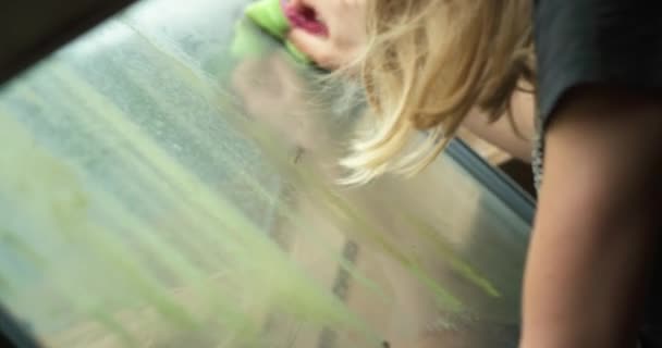 Woman Cleaning Window Brush Her Hands — Vídeos de Stock