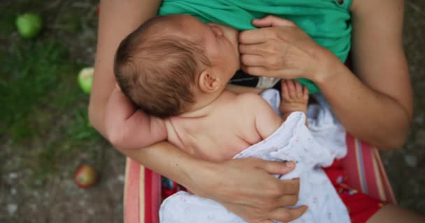 Mãe Alimentando Seu Bebê Enquanto Relaxa Rede — Vídeo de Stock