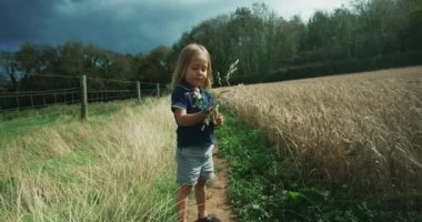 Buğday tarlasında oynayan küçük tatlı çocuk.