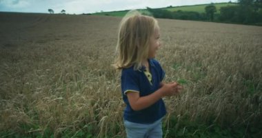 Buğday tarlasında oynayan küçük tatlı çocuk.