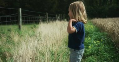 Buğday tarlasında oynayan küçük tatlı çocuk.