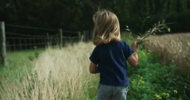 Pequeño Lindo Chico Jugando Trigo Campo Fondo — Vídeos de Stock