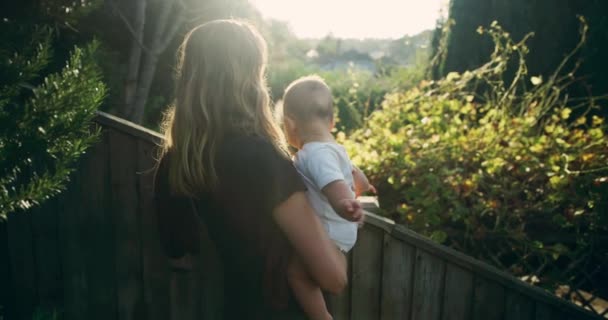 Moeder Houdt Haar Baby Jongen Handen Zonnige Achtergrond — Stockvideo