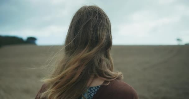 Жінка Стоїть Пшеничному Полі Хмарний Фон Неба — стокове відео