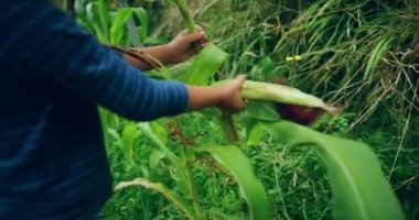 Bahçede oynayan küçük çocuk.